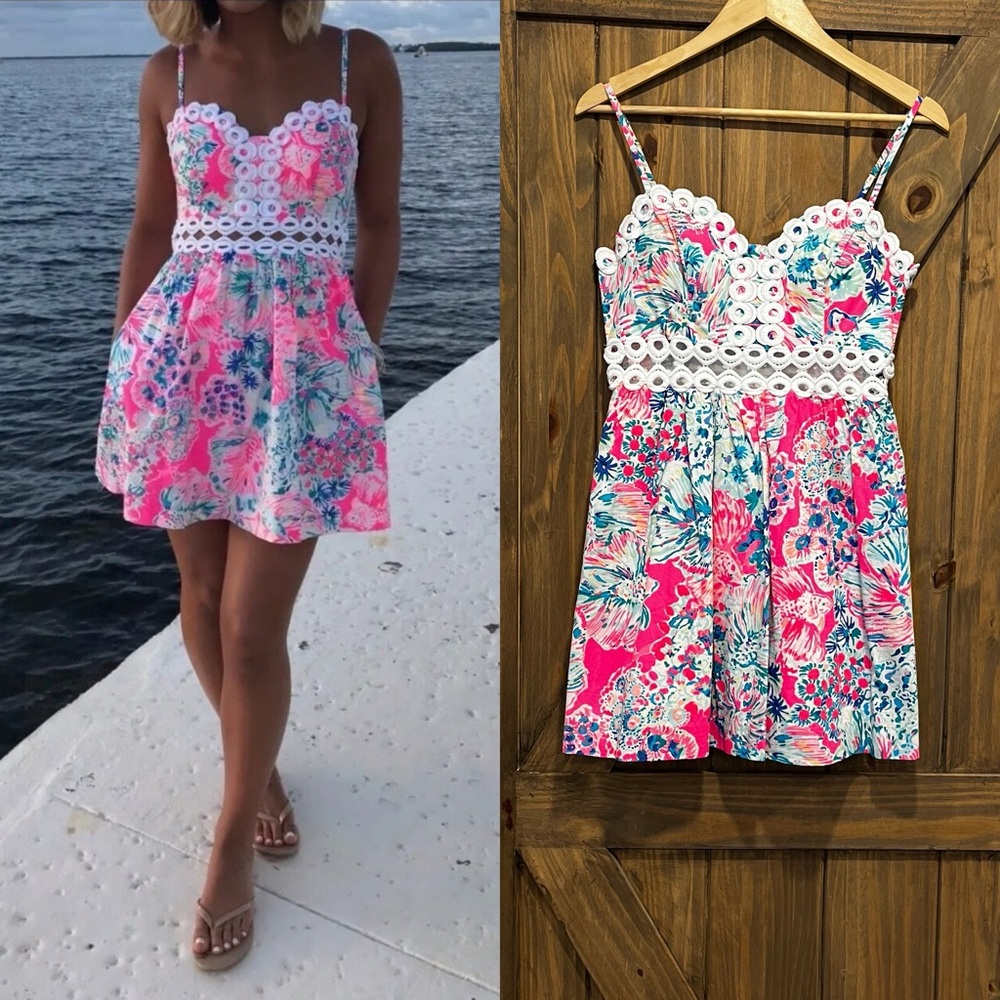 Lilly Pulitzer RARE 🦄 Rika Fit & Flare Tiki Pink Gypsea Dress Size 4